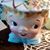 Shari Demet's profile image