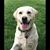 Sandy Savastano's profile image