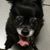 Karen S McDaniel Rodriguez's profile image