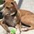 Sue Terenzio's profile image