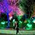 Cecilia Piccinin's profile image