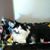 Nancy Lysett's profile image
