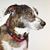 Karen Hendrickson Brutzman's profile image
