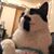 Heidi Wilson's profile image