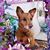 Denise Lupo-Williams's profile image