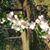 Jeannine T Wheeler Lmt's profile image