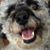 Nancy Cushing's profile image