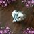 Jeannine Casey's profile image