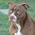 Diana Bruen's profile image