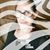 Jennifer Brooks's profile image