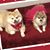 Marilyn Wetter's profile image