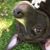 Terri Carl's profile image