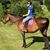 Ann Jamieson's profile image
