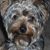 Debbie Chadwick Bain's profile image
