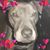 Paula Scheffer's profile image