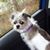 Kristy Miller's profile image