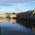 Anne Leavens's profile image