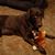 Louanne Morris Drumheiser's profile image