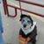 Marsha Stamm's profile image