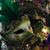 Nadine Pinell's profile image