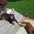 Kimberly Wilson's profile image
