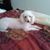 Lillian Freeman's profile image