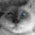 Olivier Walty's profile image