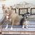 Vicki Clark's profile image