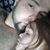 George Lyons's profile image