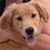 Donny Spencer's profile image