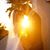 Xuong Do's profile image