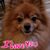 Carolyn S. Jett's profile image