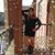 Kristy Whitaker's profile image
