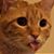 Christine Nash's profile image