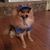 Kerry Broussard Turner's profile image