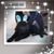 Janet Crutcher's profile image