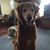 Janet Kay Genaust-Criddle's profile image