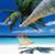 Moncayo Uribe Carlos's profile image