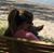 Autumn Mills Proserpi's profile image