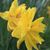 Linda Kern Bates's profile image