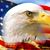 Brian Thompson's profile image