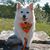 Susan Crowder's profile image