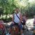 Pavol Karcol's profile image