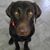Kelly Danforth Storbeck's profile image