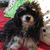 Barbara Latham's profile image