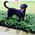Molly King Phelan's profile image