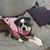 Sheryl Sutton-Sigler's profile image
