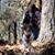 Audrey Ann Low's profile image