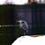 Stephen C. Larney's profile image