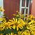 Patti Nickson's profile image